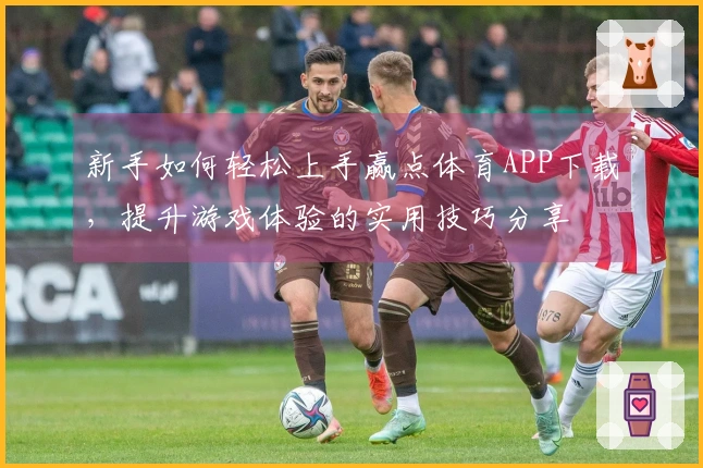 新手如何轻松上手赢点体育APP下载，提升游戏体验的实用技巧分享